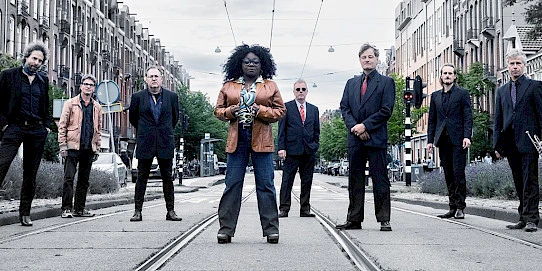 The Hippo Brothers feat. Miss Beulah