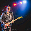Gerrit Veldman Band
